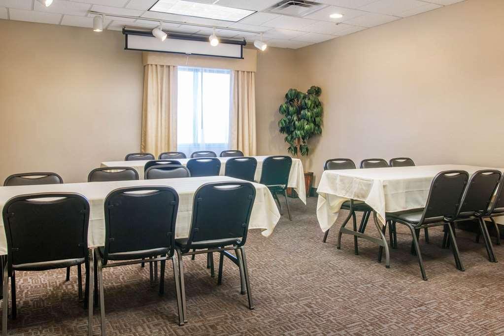Comfort Suites Auburn Hills-Detroit Facilities photo